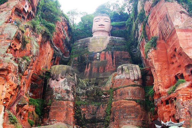 Giant Panda and Leshan Buddha Day Trip From Chengdu - Inclusions and Services