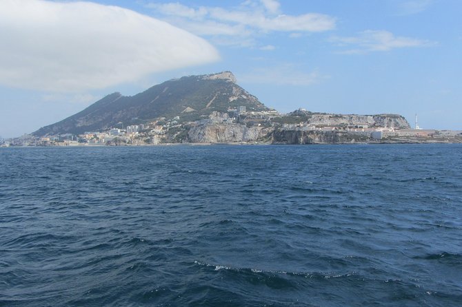 Gibraltar and Dolphins Cruise Day Trip From Costa Del Sol - Tour Highlights and Activities