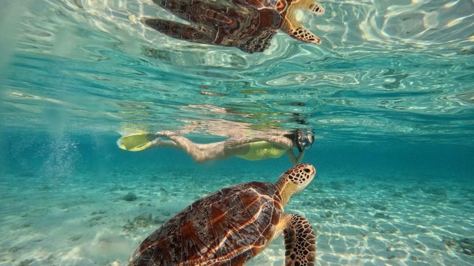 Gili Meno: Private Snorkeling Trips With Gopro Footage - Experience