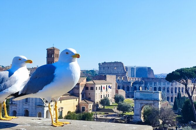 Gladiators Tour: Colosseum Full Experience With Arena Access - Booking Information