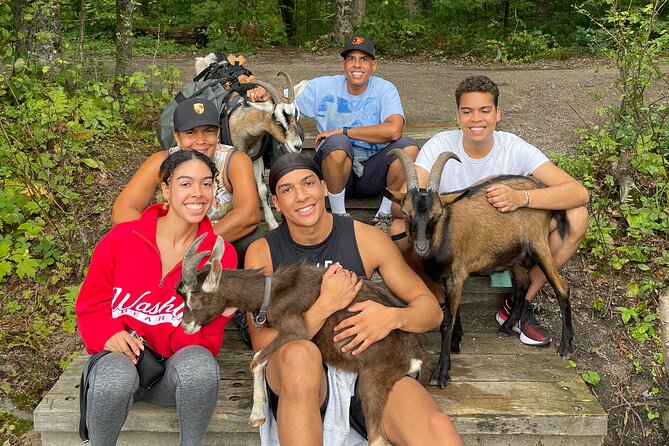 Goat Hiking, Beaver Dam Visit and Picnic in Quebec Forest - Goat Hiking Experience