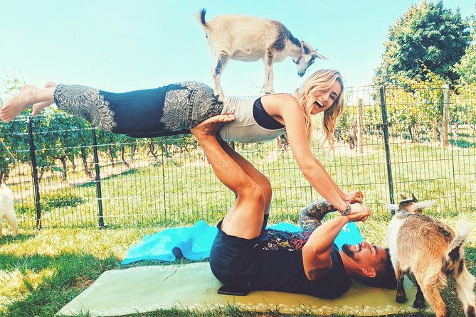Goat Yoga and Wine Tasting - Inclusions and Recommendations