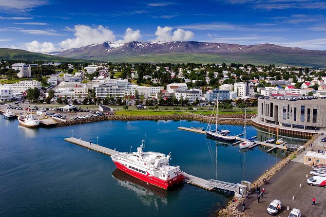 Godafoss Waterfall & Geothermal Baths From Akureyri Port - Booking Information