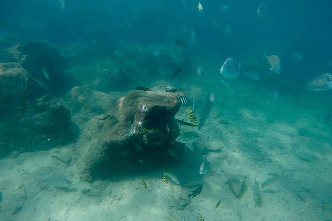 Gold Coast Try-Scuba Experience at Wave Break Island - Beginner Divers Welcome