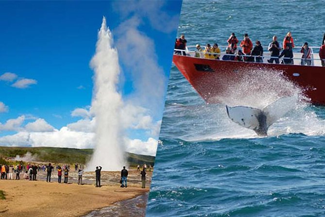 Golden Circle and Whale Watching in Reykjavik - Inclusions in the Tour Package