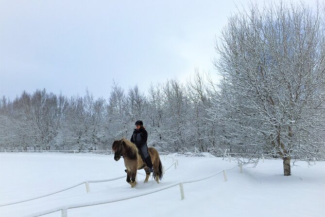 Golden Circle, Fridheimar Farm & Horses Small Group Tour From Reykjavik - Memorable Tour Highlights