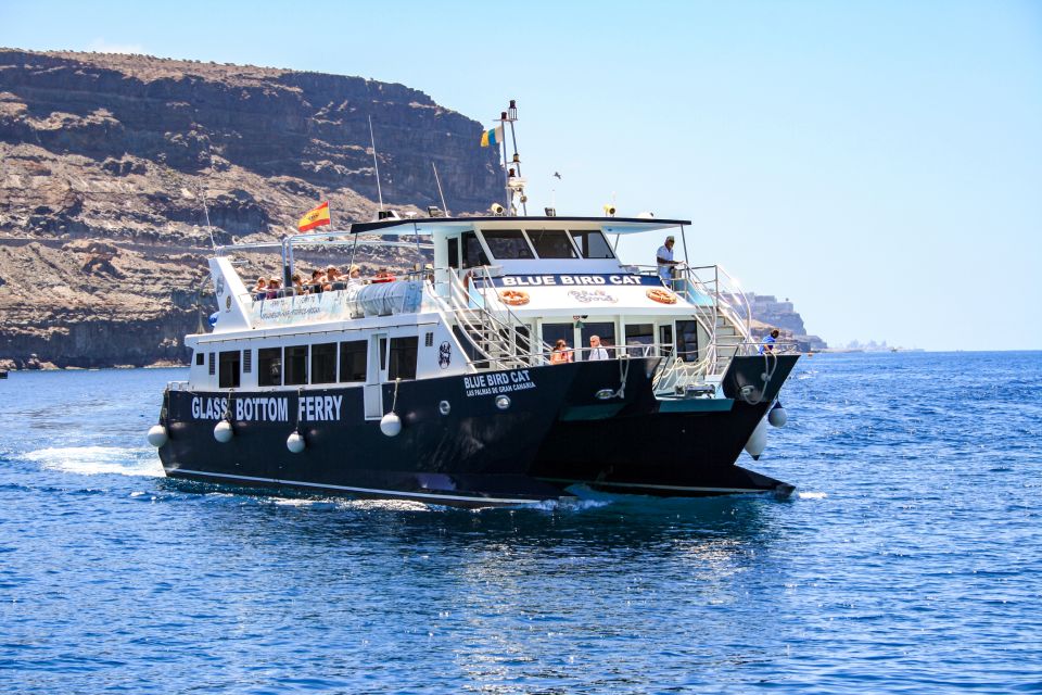 Gran Canaria: Catamaran Dolphin Watch Cruise With Snorkeling - Inclusions and Amenities