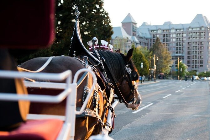 Grand Horse-Drawn Carriage Tour of Victoria - Weather Considerations