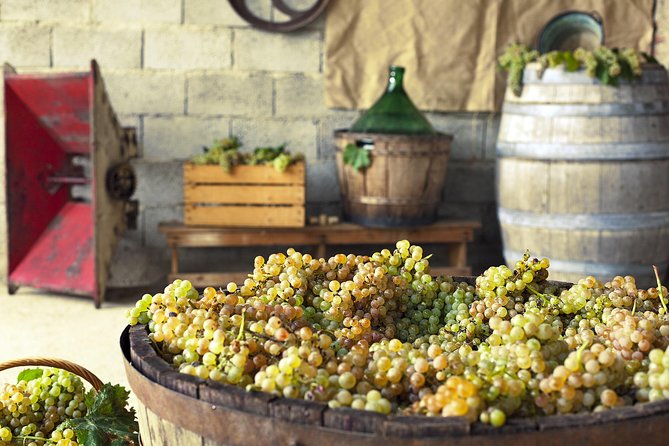 Grape Stomping in Tuscan Farmhouse From Florence - Itinerary Details