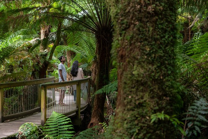 Great Ocean Road Grampians 3 Day National Park Tour Melbourne Roundtrip - Additional Information