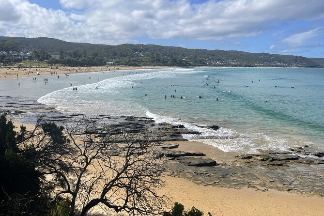 Great Ocean Road to Lorne Beaches & Waterfall Melbourne Day Tour - Pickup Locations and Times