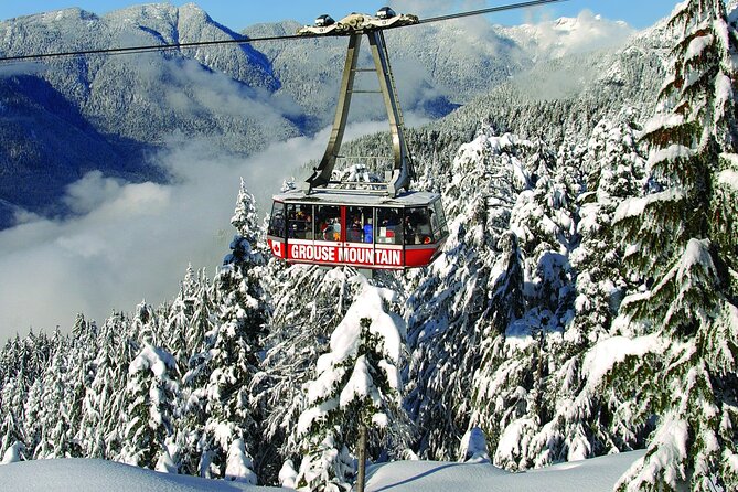 Grouse Mountain Admission Ticket - Visitor Information