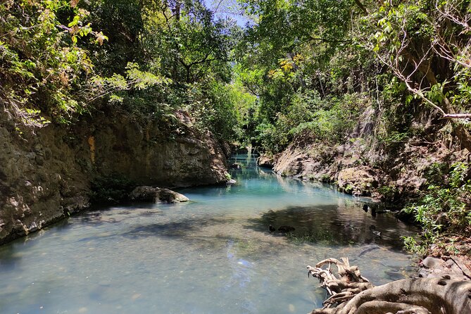 Guanacaste Hidden Waterfalls Private Day Tour With Lunch  - Playa Hermosa - Experience Insights