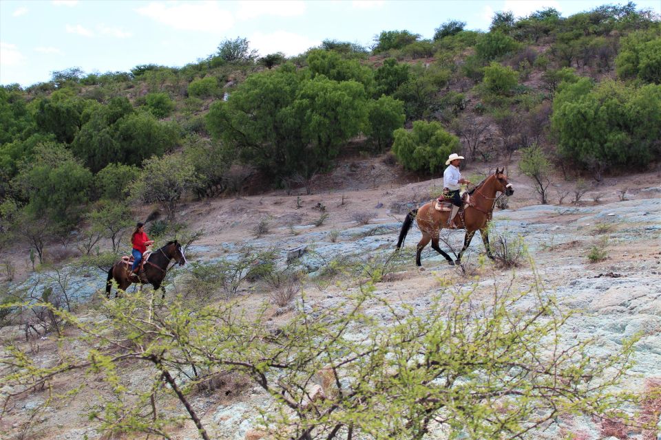 Guanajuato: Horse Ride Tour - Experience Highlights