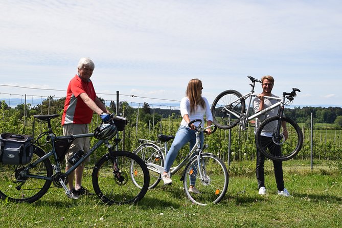 Guided Bike Tour Lake Constance Cycle Path Incl Bregenz Stage & Pfänder Mountain - Inclusions and Logistics