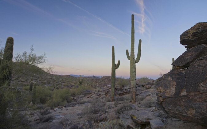 Guided Desert Sunrise or Evening/Sunset 2-Hour Hike at South Mtn - Meeting and Pickup Details