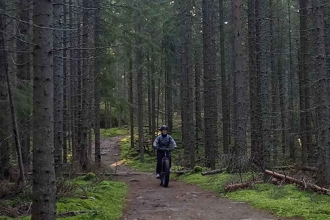 Guided E-Fatbike Trek in Repovesi National Park - Tour Details