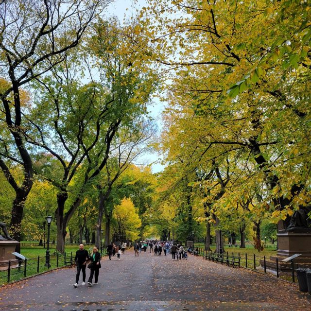 Guided Economy Pedicab Tour in Central Park - Meeting Point Details