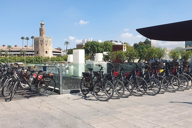 Guided Electric Bicycle Tour of Seville - Review and Ratings