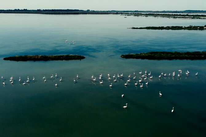 Guided Excursion for Small Groups by Kayak in Valle Da Pesca - Booking and Confirmation