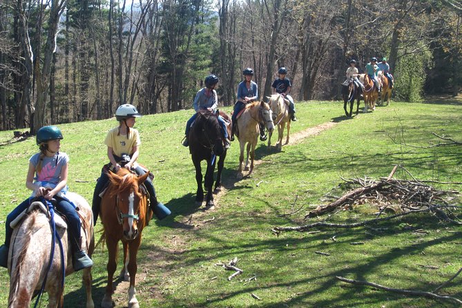 Guided Horseback Ride Through Flame Azalea and Fern Forest - Customer Reviews and Feedback