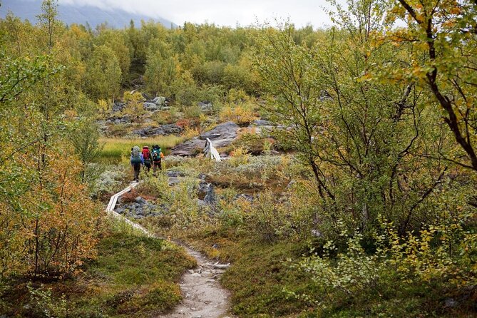 Guided Ice Climbing Activity in Pyhä - Meeting and Pickup