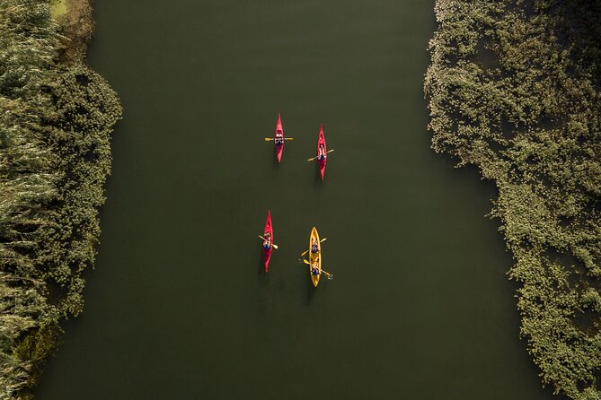 Guided Kayak Tour to Gracia Island - Tour Logistics