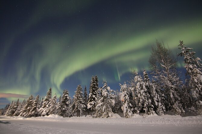 Guided Northern Lights Tour at Kiruna - Traveler Feedback and Reviews