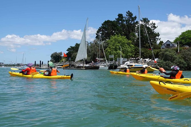 Guided Riverhead Tavern Kayak Tour in Auckland - Tour Confirmation and Cancellation Policy