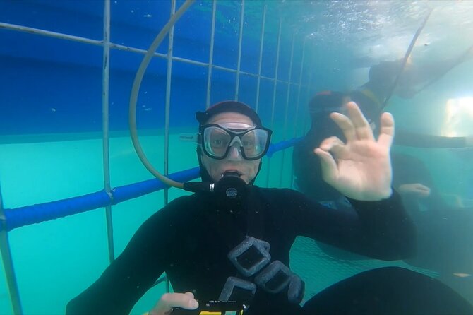 Guided Shark Cage Diving With Hookah Air Supply in Gansbaai - 3. Provider Information