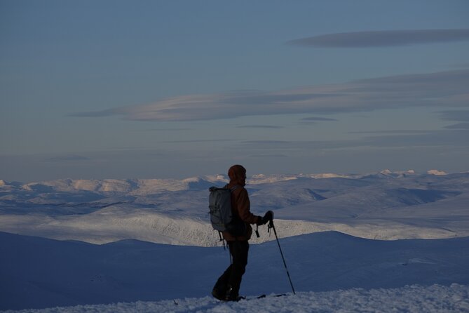 Guided Ski Touring in Ammarnäs - Travel Time and Pickup Options