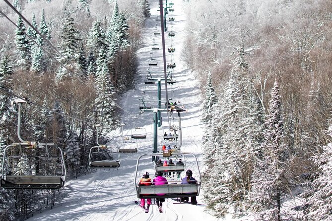 Guided Skiing or Snowboarding in Quebec Enchanted Forests - What to Expect on the Slopes