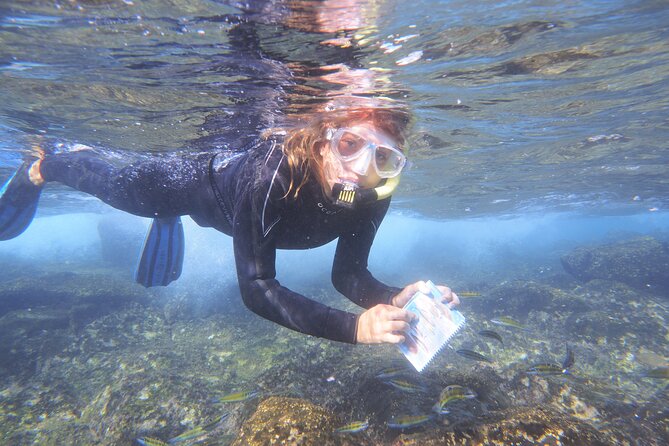 Guided Snorkeling Experience - Duration and Itinerary Details