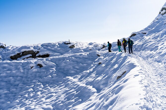 Guided Snowshoeing Day to Discover the Dolomites - Expert Guided Tours
