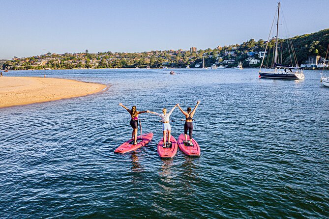 Guided Step-Up Paddle Board Tour of Narrabeen Lagoon - Pricing Details