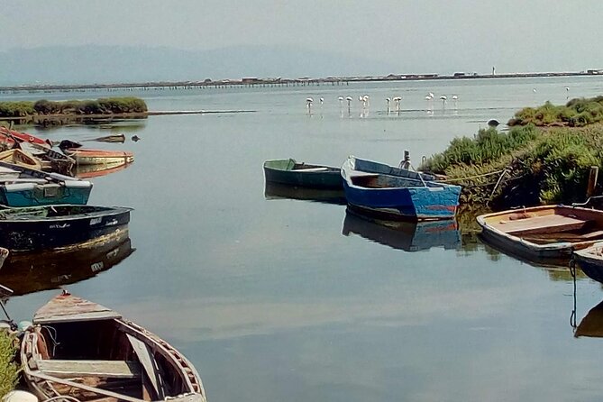 Guided Tour of the Ebro Delta - Local Attractions