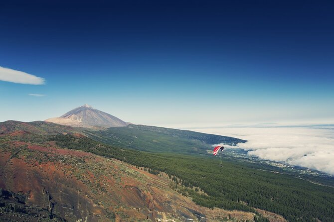 Guided Tour to Teide National Park in Tenerife - Booking Process