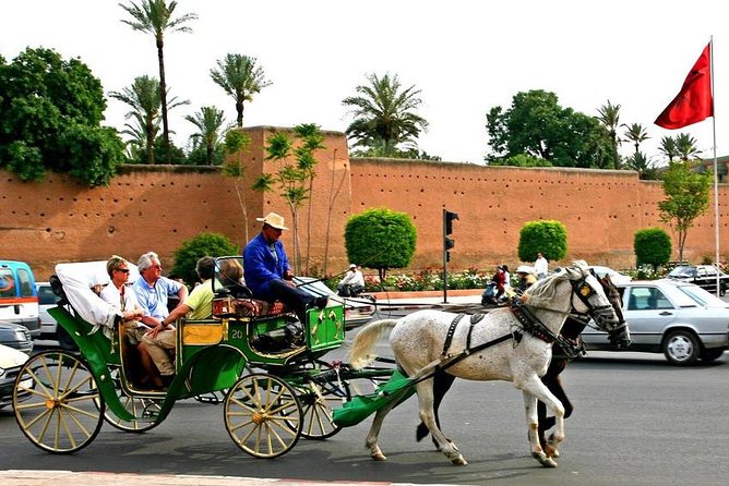 Guided Unveiling the Medinas Wonders of Marrakech - Expert Guided Exploration