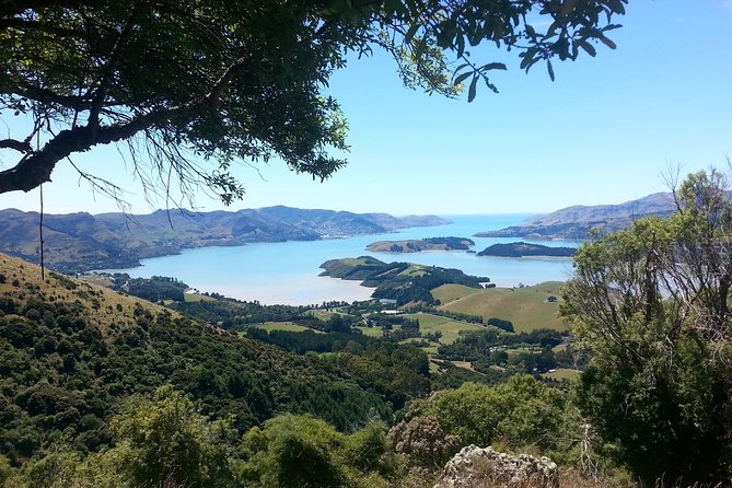 Guided Walk & Scenic Drive From Christchurch- Port Hills & Packhorse Hut - Departure Point and Timing