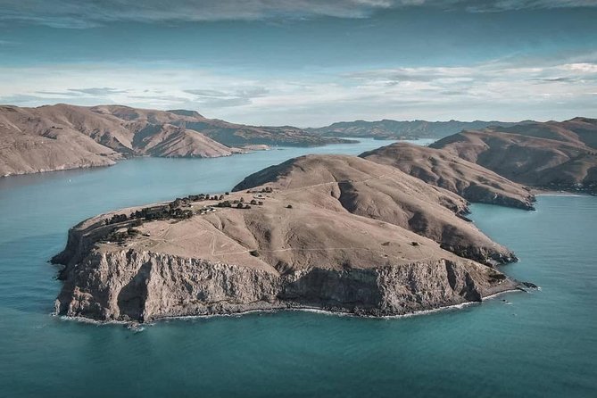 Guided Walking Tour & Scenic Drive Form Christchurch - Lyttelton & Godley Head - Reviews