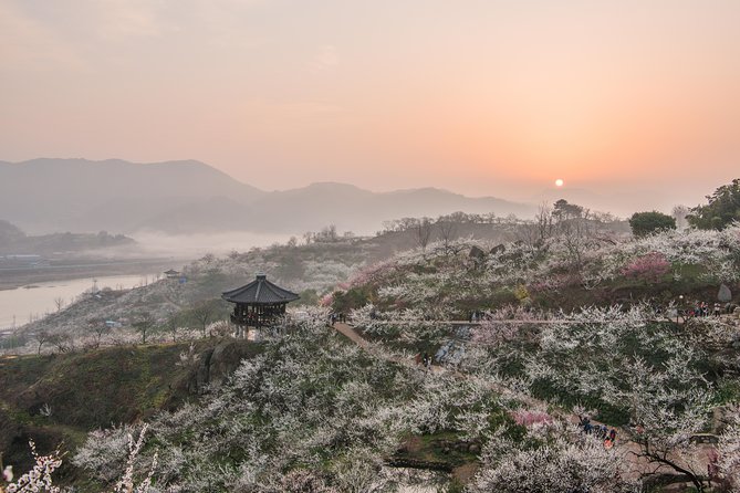 Gwangyang Maewha Flower and Jeonju Hanok Village 1 Day Trip From Seoul - Jeonju Hanok Village Experience