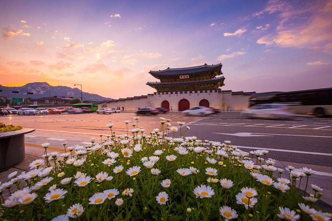 Gyeongbok Palace Tour, Fullday Seoul City Tour - Visitor Reviews Overview