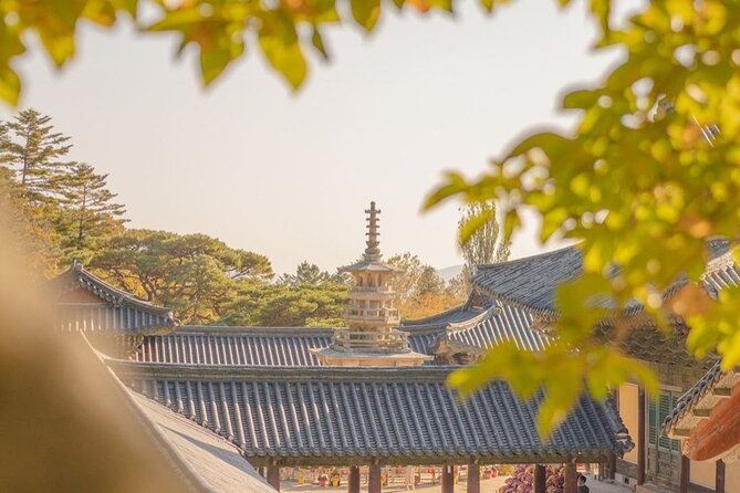 Gyeongju Private Tour : Uncover the Eternal Beauty - Reviews and Ratings Summary