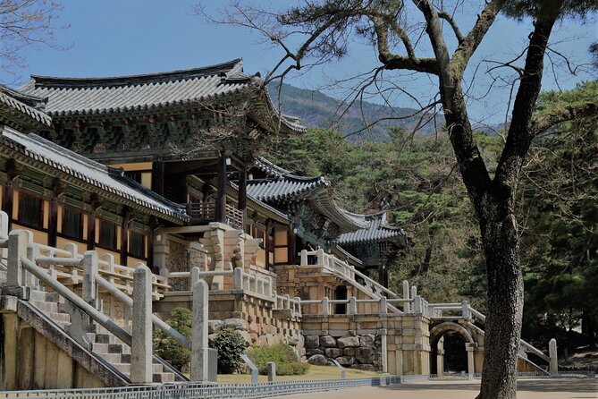 Gyeongju the UNESCO Sites Tour for Small Group - Expert Guided Experience