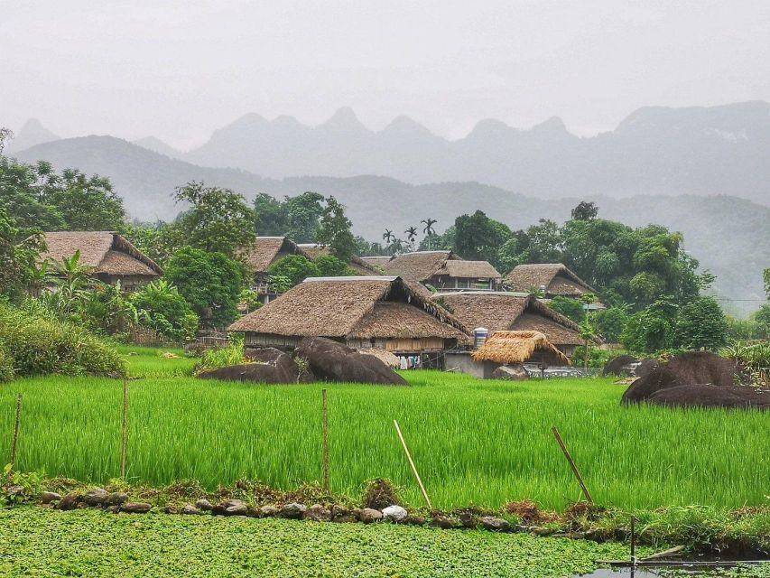 Ha Giang Loop: Easy Rider Motorbike Tour in 3D3N - Cancellation Policy and Pickup Details