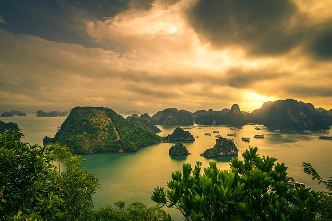 Ha Long Bay Cruise Day Tour-Cave, Kayaking,Ti Top Island & Lunch - Tour Overview and Highlights
