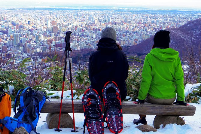 Half-Day (4 Hours) Sapporo City Tour - Group Size and Guide