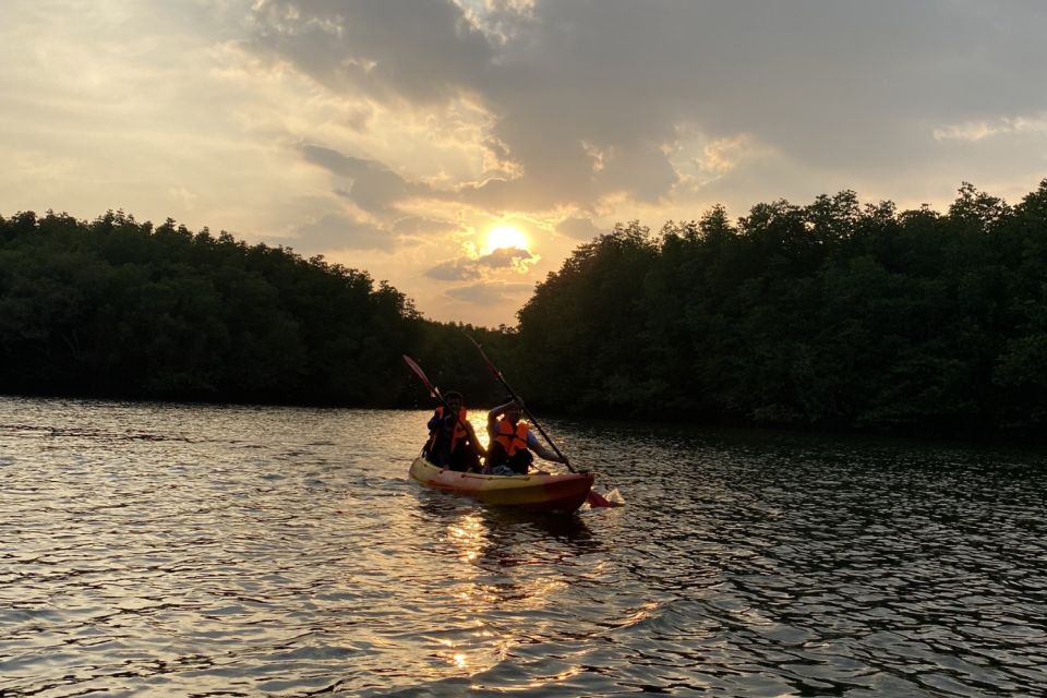 Half Day Adventure Kayaking at Mangrove Forest - Experience Highlights