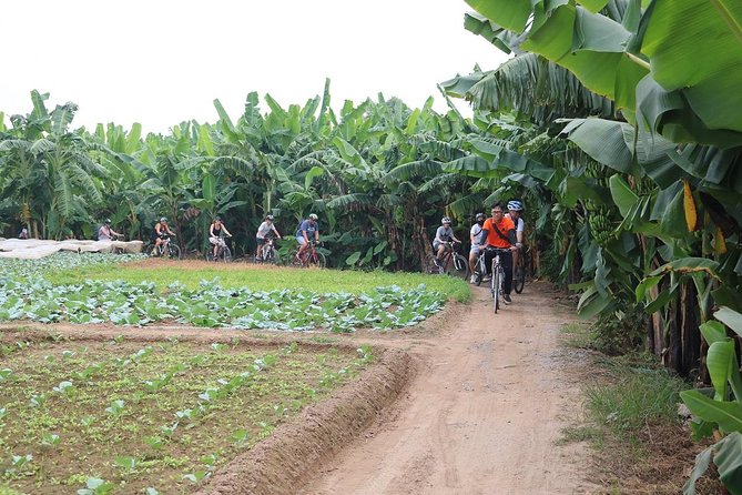 Half-Day Bicycle Tour of Hanoi City & Countryside Train Street - Local Life Experience