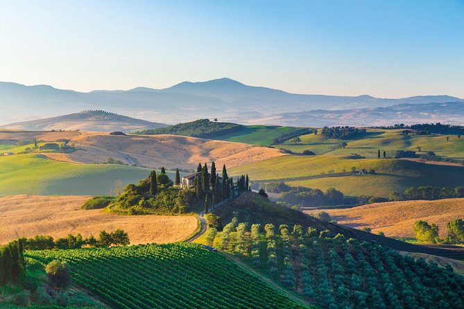 Half-Day Brunello Di Montalcino Wine Tour From Siena - Inclusions and Pricing